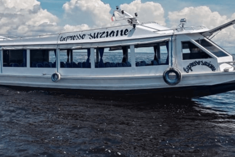 Shared Tour Speedboat Ride on the Rio Negro