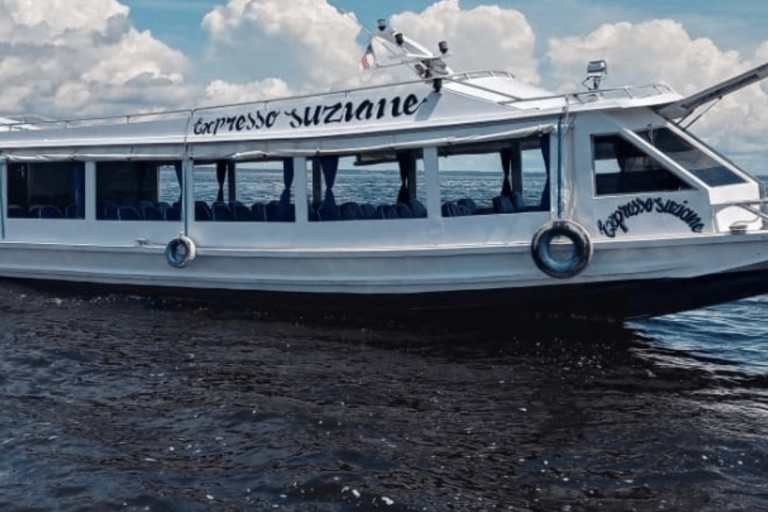 Shared Tour Speedboat Ride on the Rio Negro