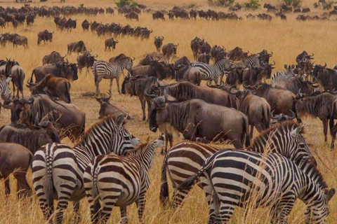 Addis Abeba: wycieczka do kościoła Chebera Churchura i Parku Narodowego MazeAddis Abeba: Wycieczka do kościoła Chebera Churchura i Parku Narodowego Maze