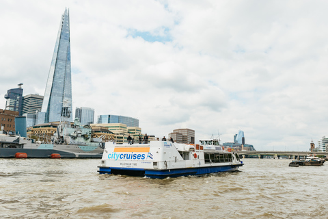 London: River Thames Hop-On Hop-Off Sightseeing Cruise