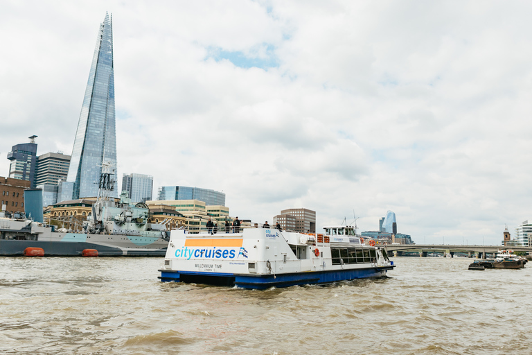 London: River Thames Hop-On Hop-Off Sightseeing Cruise
