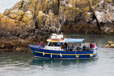 Dublin : Tour en bateau du phare et des falaises de HowthDublin : Les falaises de Howth et le tour en bateau de la côte de l&#039;œil de l&#039;Irlande