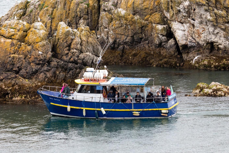 Dublin: Howth Lighthouse and Cliffs Boat TourDublin: Howth Cliffs and Ireland&#039;s Eye Coastal Boat Tour