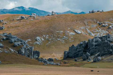 Christchurch: Waimakariri River Train & Castle Hill Day Tour
