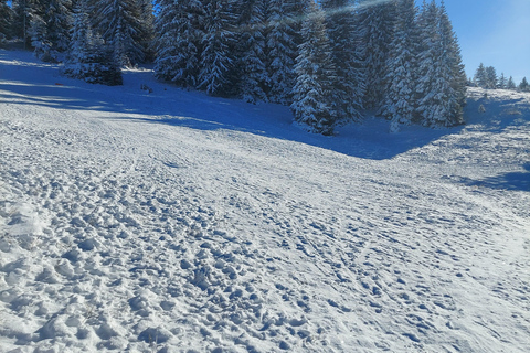 Circuit sportif à Sarajevo : Montagnes et stades olympiques