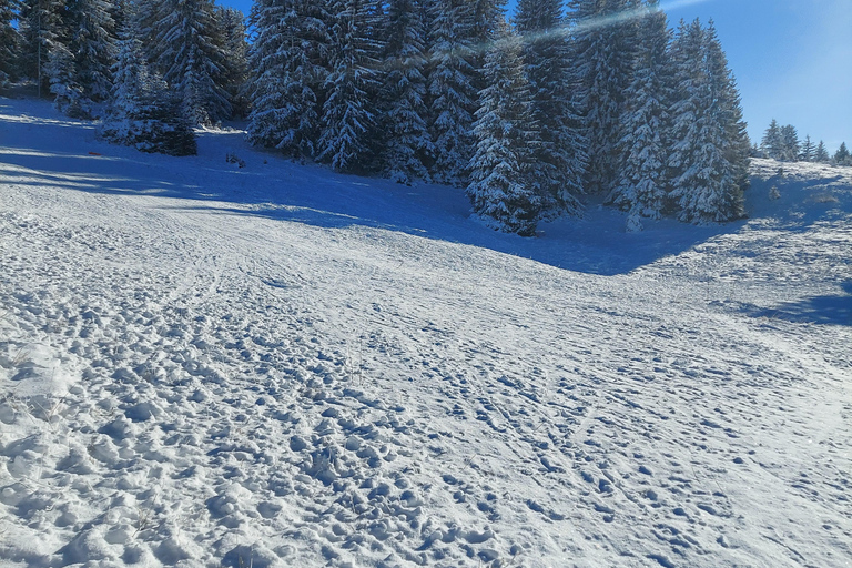 Circuit sportif à Sarajevo : Montagnes et stades olympiques