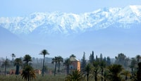 Paragliding Experience & Atlas and Desert Views with Lunch - Housity