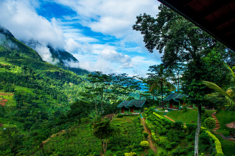 3 dni Najważniejsze atrakcje Sigiriya, Kandy, Nuwara Eliya, Ella, Udawalawe