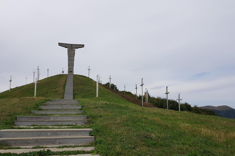 Dashbashi Canyon, Asureti village, and Didgori monument.