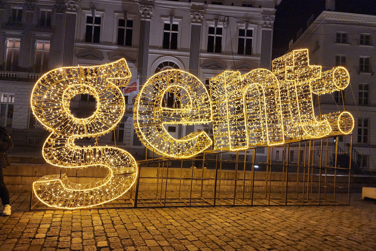 Ghent Christmas Market &amp; Castle of Counts 2 days from Paris