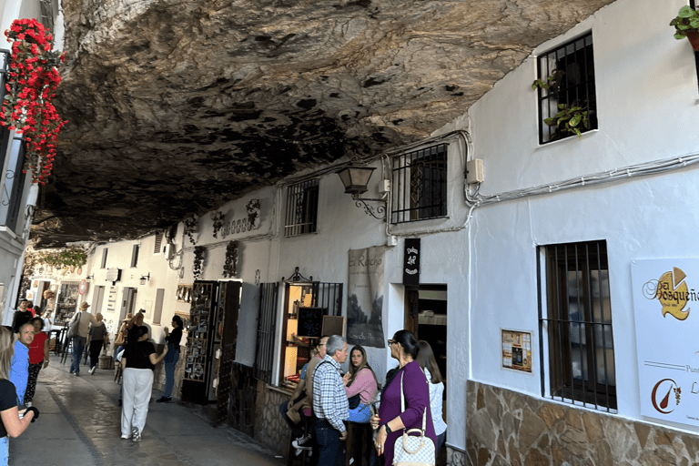 Depuis Malaga : Ronda et Setenil de las Bodegas