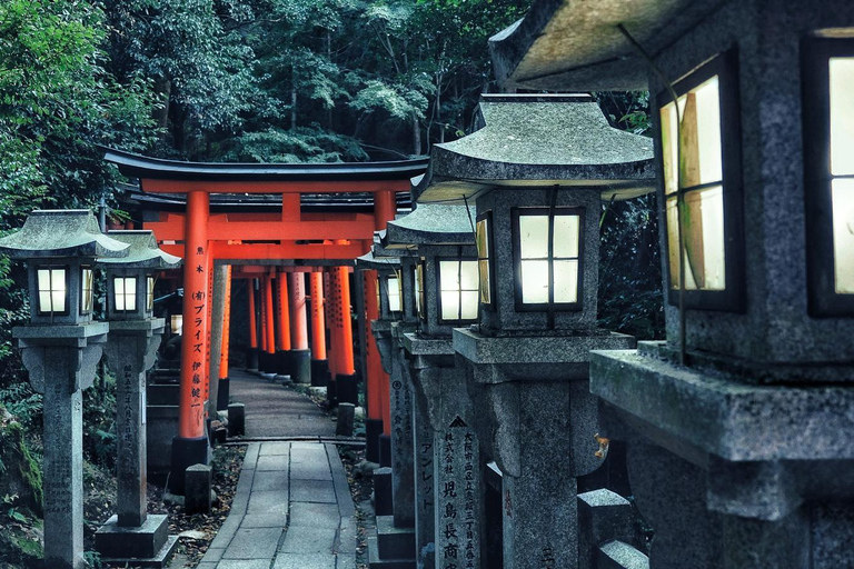 Da Osaka:Tour privato di Kyoto e Nara (autista parlante inglese)Kyoto: Tour panoramico privato con autista che parla inglese