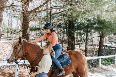 Tirana, Durrës, or Golem: Countryside Horseback Riding Tour