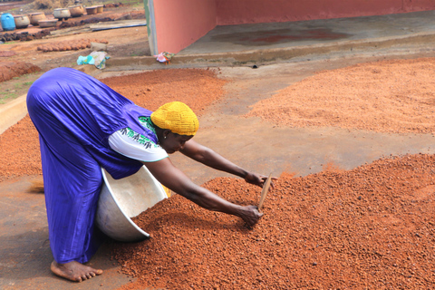 Accra: Shea Butter Making Tour Shea Butter Experience