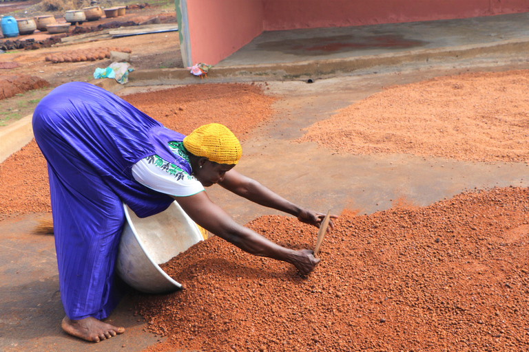 Accra: Shea Butter Making Tour Shea Butter Experience