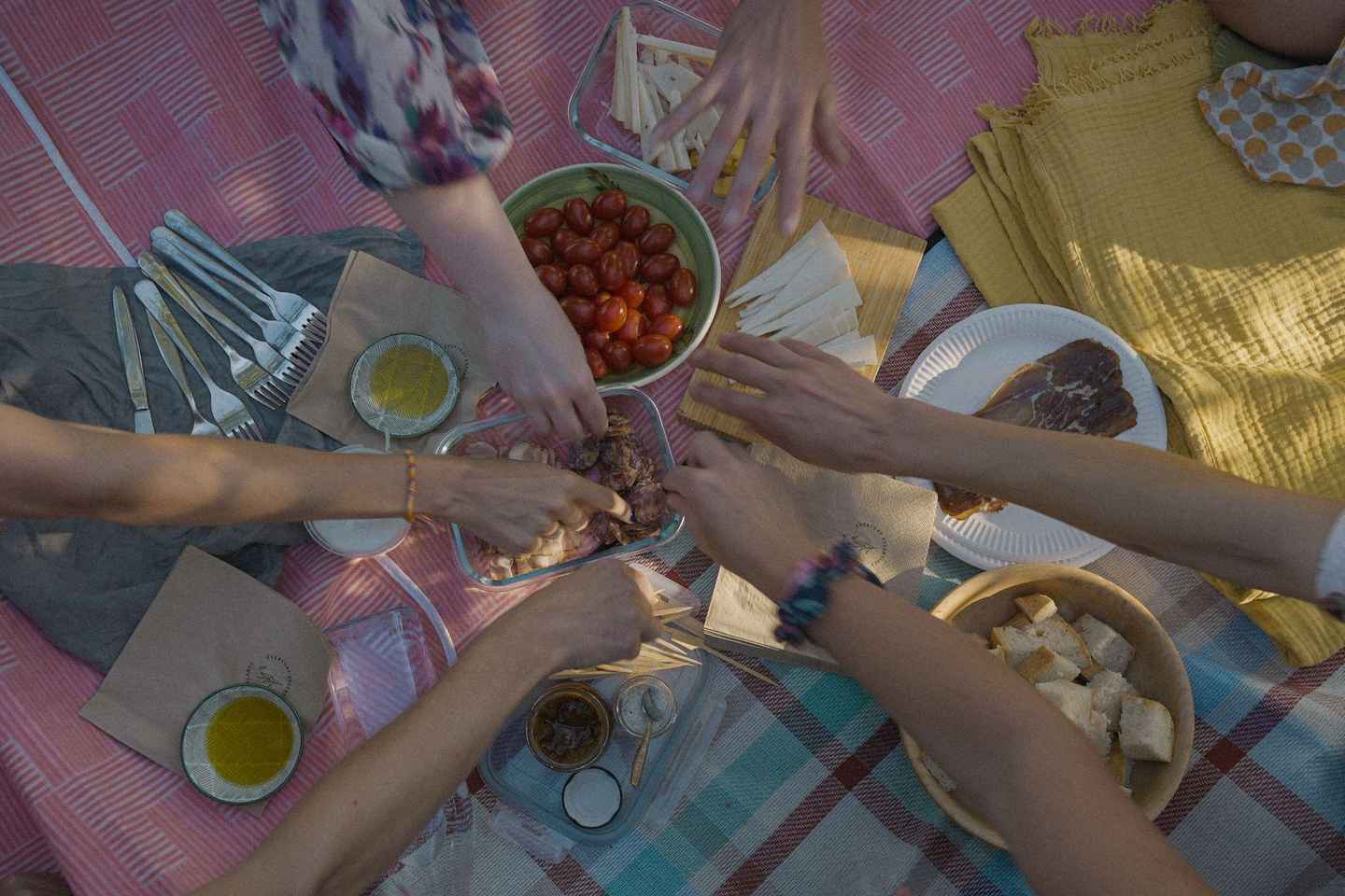 Bratislava: Vineyard Walk and Wine Picnic with Winemaker