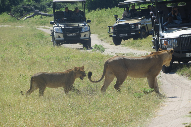 Victoria falls 4hours safari with picnic lunch or breakfast 4hours Victoria falls Safari with Picnic Breakfast.