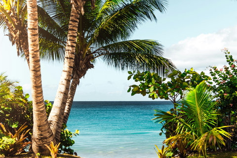 6 dagar och 5 nätter på Zanzibar Semesterpaket med boende