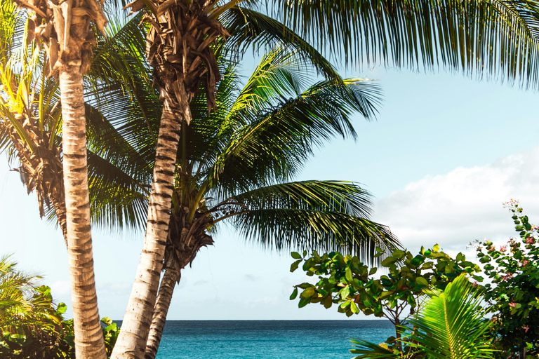 6 dagar och 5 nätter på Zanzibar Semesterpaket med boende