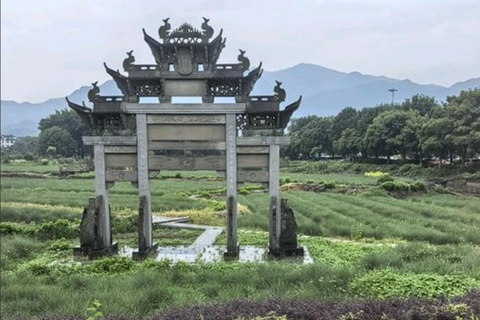 Shanghai: Fuyang Bayberry Picking & Ancient Town Day Trip