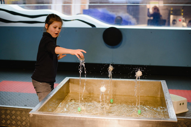 Tour privato del Museo Interattivo Mirador Santiago con bigliettiTour privato del Museo Interactivo Mirador Santiago con biglietti inclusi