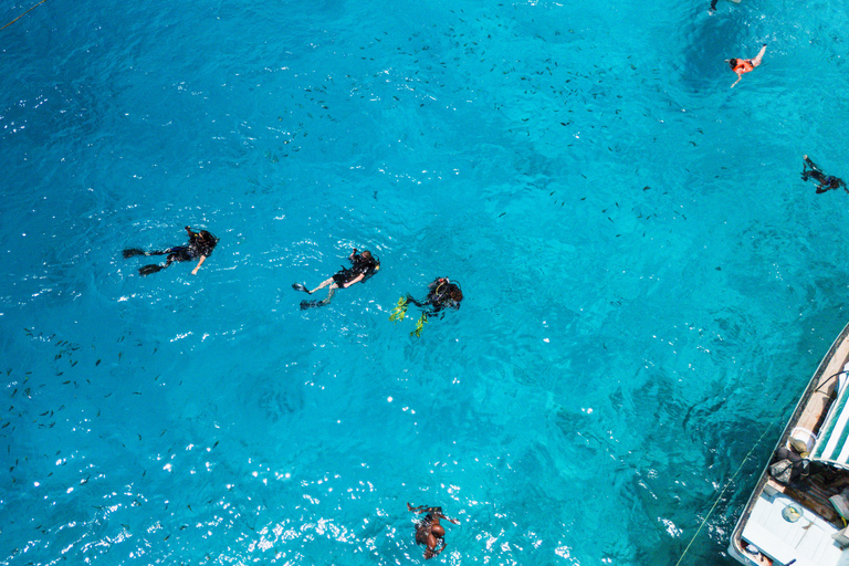 Zanzíbar: 2 días de buceo, cuatro inmersionesSin traslado al hotel