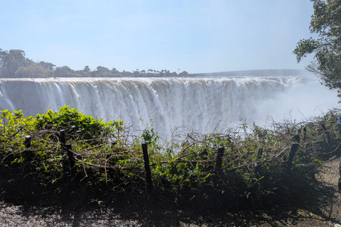 Victoria Falls: Guided Tour with Rainforest & Big Tree Full Heritage Experience: Falls, Rail & City