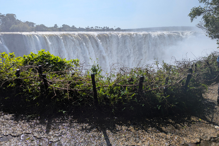 Victoria Falls: Guided Tour with Rainforest & Big Tree Full Heritage Experience: Falls, Rail & City