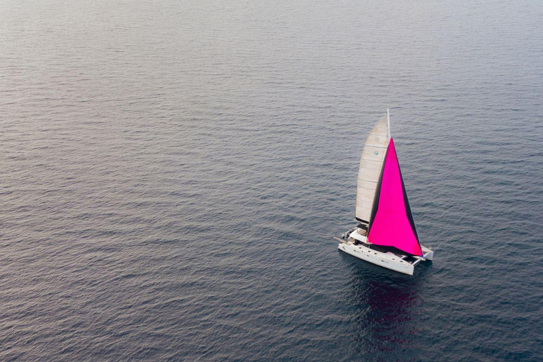 Crucero por Mykonos: champán, barbacoa, demostración de navegación y parada en Delos.Crucero por Mykonos: champán, barbacoa, demostración de vela y parada en Delos