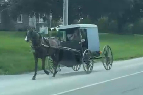 New York – Discover Philadelphia and the Amish Community on a One-Day Tour