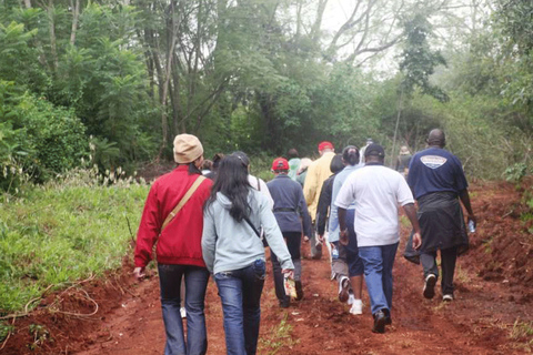 Nairobi : visite guidée de la forêt de Karura à pied