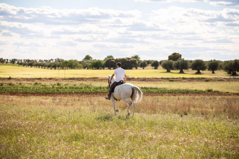 Montpellier: Private Sunset Horse Riding & Wine Tasting