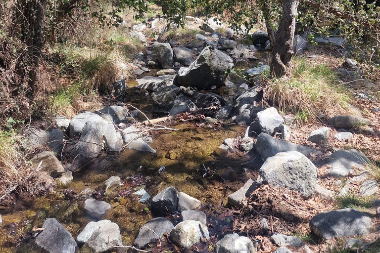 Tour privato a Troodos: cascata, villaggi e pranzo cipriotaTour privato a Troodos: cascata, villaggi e pranzo tipico cipriota