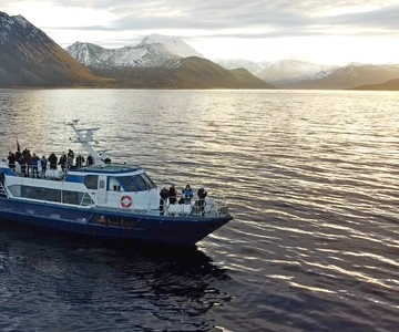 From Tromsø: All-Inclusive Whale, Orca, and Sea Bird Safari