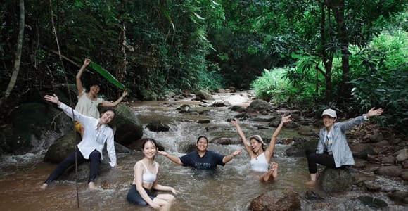 Chiang Mai: Forest Bathing and Yoga Retreat with Meals