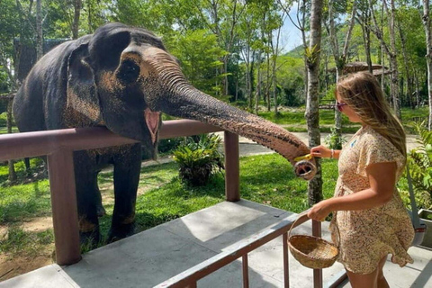 Same-Day Taj Mahal & Agra Fort with Elephant Sanctuary Tour From Delhi: Elephent Sanctuary + Taj mahal + Agra Fort