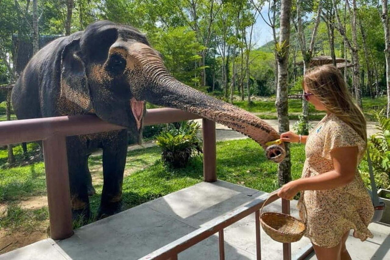 Same-Day Taj Mahal & Agra Fort with Elephant Sanctuary Tour From Agra: Taj Mahal + Agra Fort + Elephent Sanctuary