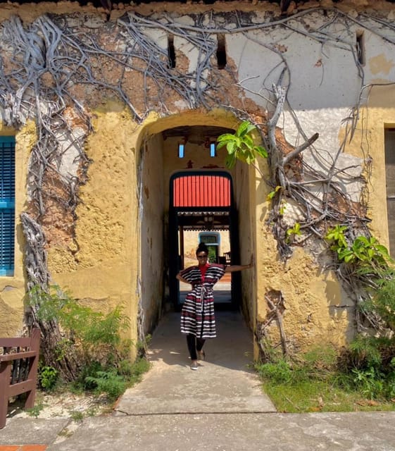 Excursión a la Isla de la Prisión (Isla de Changuu) GetYourGuide