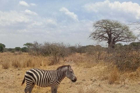 From Zanzibar: 2 days Tanzanian Game Safari (Mikumi park) Private 3days 2nights by boat (very chilling trip)