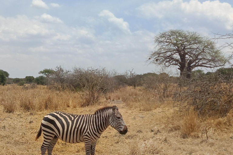 From Zanzibar: 2 days Tanzanian Game Safari (Mikumi park) Private 3days 2nights by boat (very chilling trip)