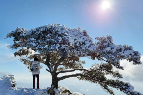 Jeonju Hanok Village and Daedunsan Serenity Nature Tour Departing from Dongdaemun H&C Park Station Exit 10