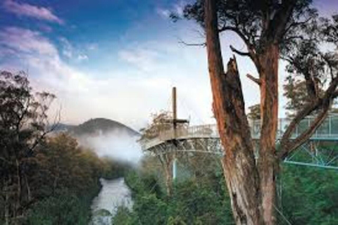 Hobart: Tahune Airwalk and Hastings Caves Day Trip