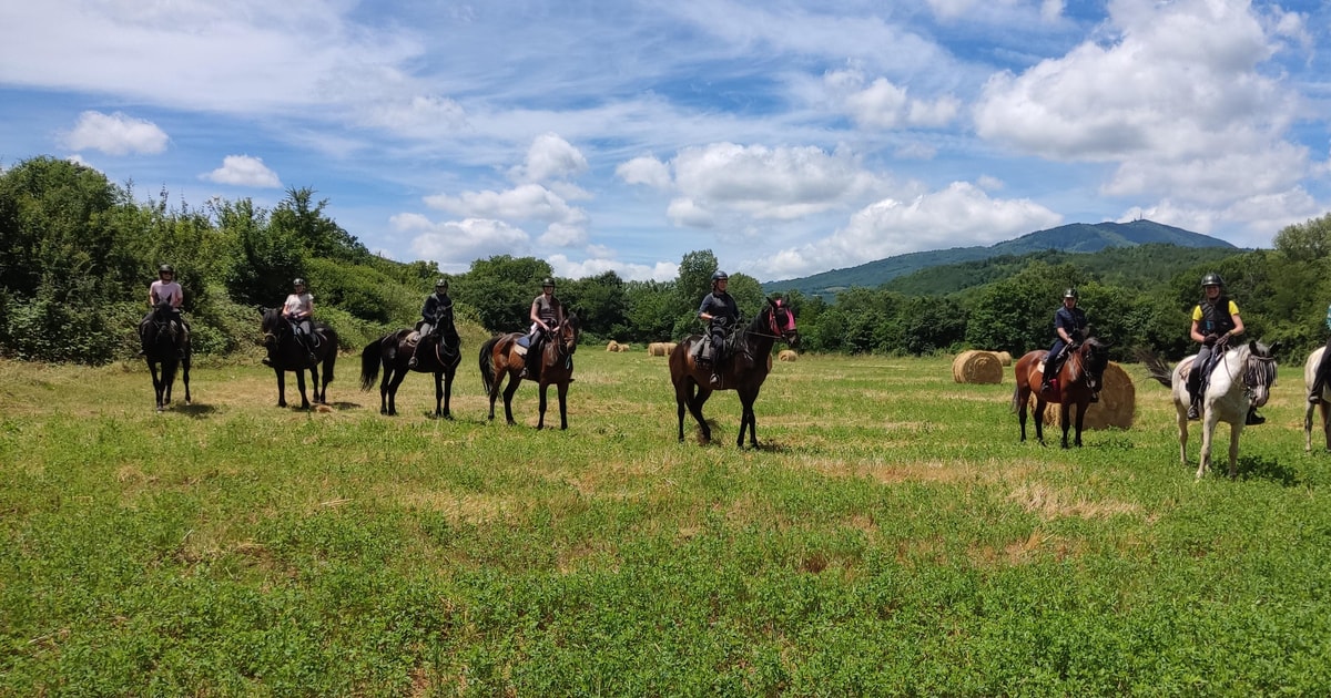 Horse Riding in Tuscany for Experienced Riders: Full-day Trail Ride ...