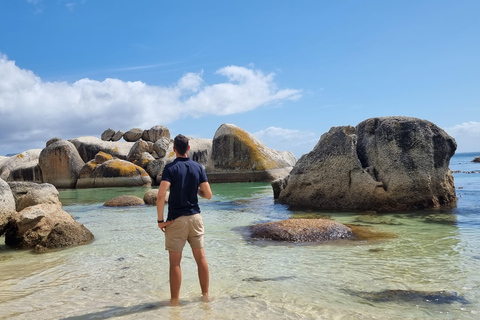 Luxury Cape of Good Hope & Penguin Tour