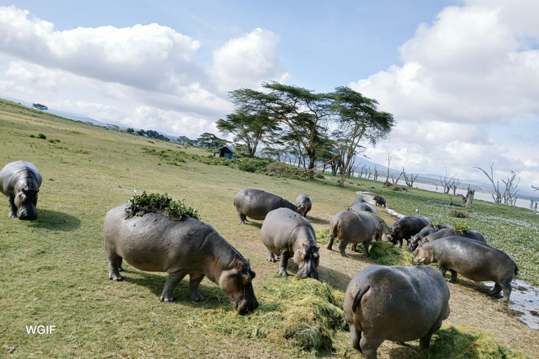 From Nairobi: Hell's Gate E-Bike/Quad Bike Tour & Boat Ride From Nairobi: Hell's Gate E-Bike & Crescent Island