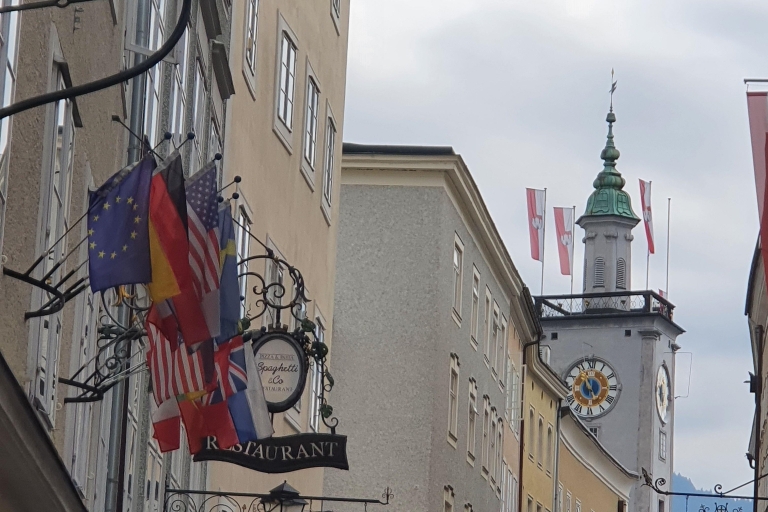 Excursión privada de un día a Salzburgo desde Viena
