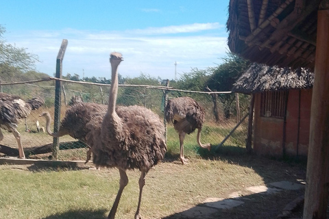Mombasa: Wildlife Sanctuary Guided Nature Trail Tour Wildlife Sanctuary Guided Nature Trail Tour