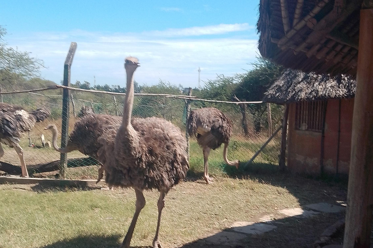 Mombasa: Wildlife Sanctuary Guided Nature Trail Tour Wildlife Sanctuary Guided Nature Trail Tour