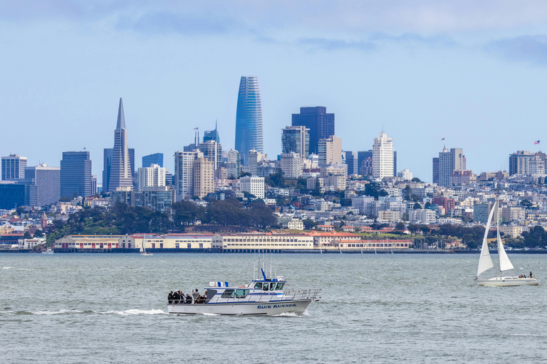 San Francisco : Alcatraz, Ferry &amp; Bus 2 jours Hop-On Hop-Off