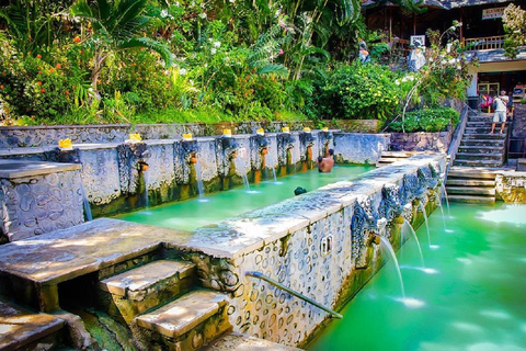 Bali: North Bali Tour with Waterfall, Vihara, and Hot Spring